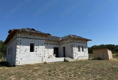 Casă cu 4 camere cu Teren 4174 Mp în Slătioarele - 6