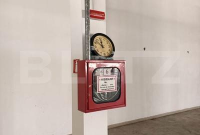 Spațiu comercial, de 5,800 mp, în Boldești - 16
