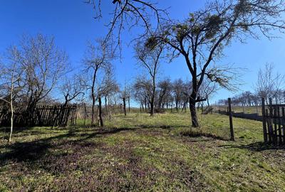 Casă cu 3 camere în Central - 2