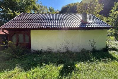 Cabana de vanzare, Valea Manastirii - Ramet - 7