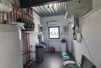 Hala noua de inchiriat , zona Lugojului - Aeroport Tmisoara - 4