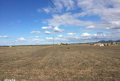 Spațiu comercial, în Central