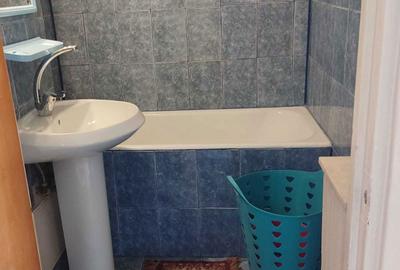 Apartament cu 2 camere decomandat în Nicolae Grigorescu - 7