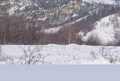 Teren Construcții extravilan de 1000 mp, în Roșia Montană - 2