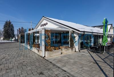 Proprietate specială, în Gârleni - 9