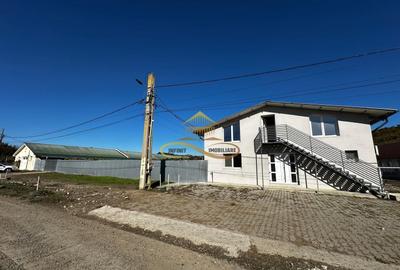Spațiu industrial, de 415 mp, în Buhoci - 15