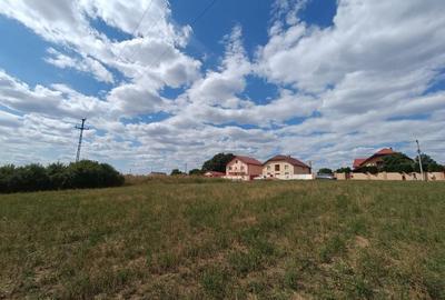 Descoperă o oportunitate rară: Teren intravilan- 2.000 mp în Zădăreni - 12