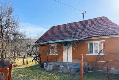 Casă cu Teren 1600 Mp în Dăbâca - 3