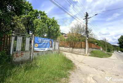 Casă cu 3 camere cu Teren 4696 Mp în Central - 15
