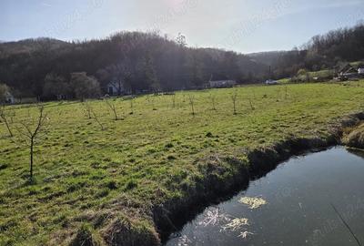 Teren de 8905 mp, în Seliște - 6