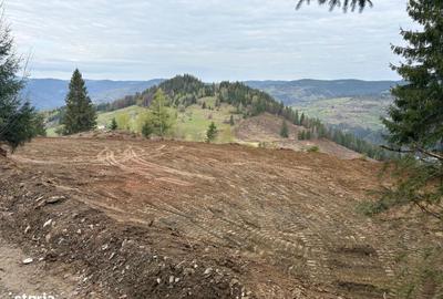 Spațiu comercial, în Dârlești - 1