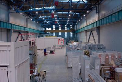 Spatiu industrial/hala/depozit Giurgiu - Port - Zona Libera - 9