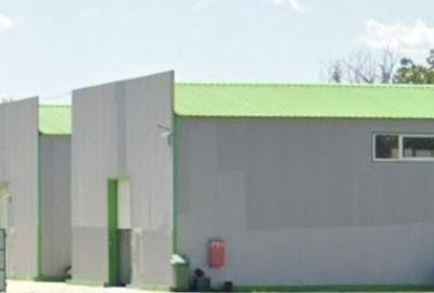 Voluntari - hala noua 500mp - 4