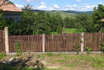 Casă cu 2 camere în Sic - 1