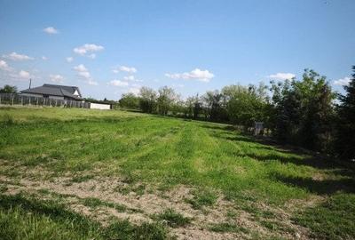 Teren agricol intravilan de 1198 mp, în Tărian - 7
