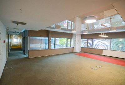 RAMS Business Center, Basarabia, 200 - 1753 mp  0% comision! - 11