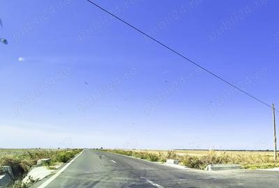Teren de 120000 mp, în Teiu - 3