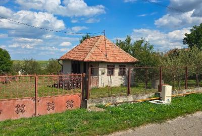 Gradina de vanzare - 3