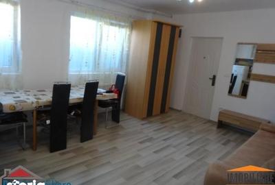 Apartament cu 2 camere, mobilat în Șega - 7