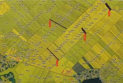 Teren de 71056 mp, în Petrăchioaia - 2