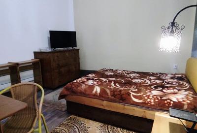 Apartament 1 camera de inchiriat zona Spitalului de Urgenta,Clinicilor - 3