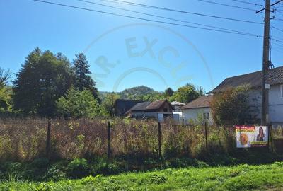Teren Vacarea ,Mihaiesti , Arges - 5381 mp - 2