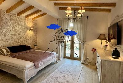 Casa 4 camere, PET FRIENDLY, Tractorul - 7