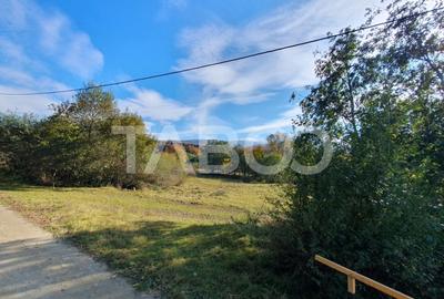 Teren intravilan zona Sambata de Sus 1596 mp de vanzare EXCLUSIVITATE - 3
