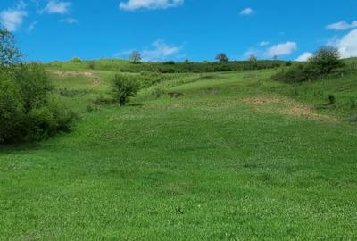 Teren Construcții extravilan de 2200 mp, în Sânpaul - 1