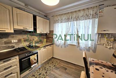 Apartament cu 2 camere decomandat, mobilat în Exterior Est - 10