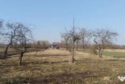 Casă cu 4 camere cu Teren 5400 Mp în Frătăuții Vechi - 3