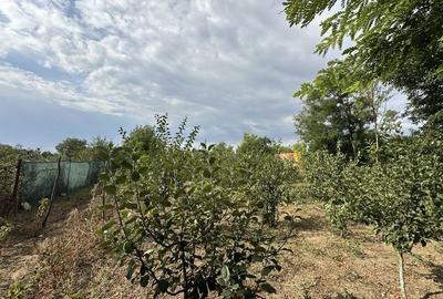 Spațiu comercial, în Central