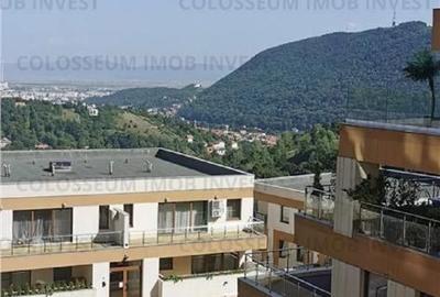 Garsonieră în Drumul Poienii - 4