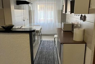 Apartament cu 2 camere, Cetate-Mercur - 2