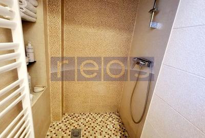 VANZARE 2 CAMERE 65MP PLUS CURTE 25MP | PIATA DOMENII - 10