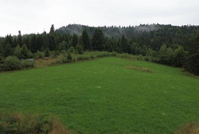 Teren 5023 mp  In Bucovina Zona Manastirea Voronet De Vanzare 0727817187 - 2