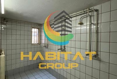 Spațiu comercial, de 240 mp, în Brâncoveanu - 1