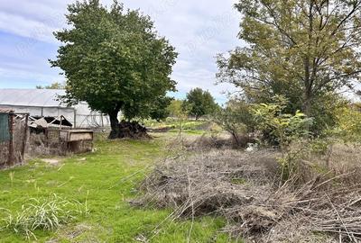 Casă cu 3 camere în Cuza Vodă - 3