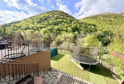 Casă cu 5 camere cu Teren 3000 Mp în Valea Inzelului - 1