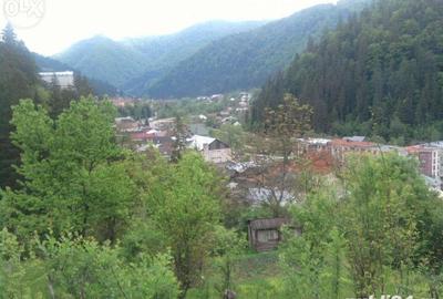 Teren de 5062 mp, în Voineasa - 10