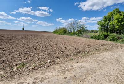 Teren intravilan de 13000 mp, în Periferie - 3