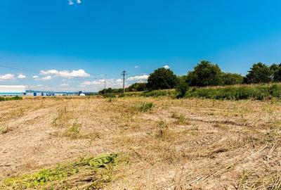 Teren intravilan – 3975 mp - 4