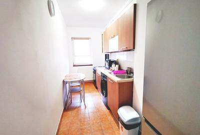 Inchiriere garsoniera ANL Brancusi Valea Oltului  la cateva min metrou Valea Ial - 18