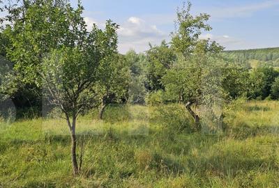 Teren cu casa veche de vanzare - Lisnau Vale, jud. Covasna - 7