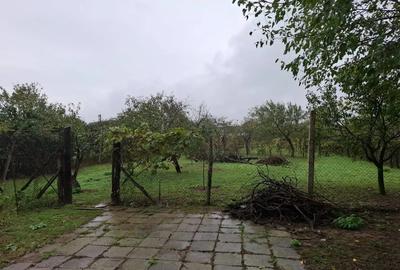 De vanzare casa in centrul satului Cordau Baile Feli - 2