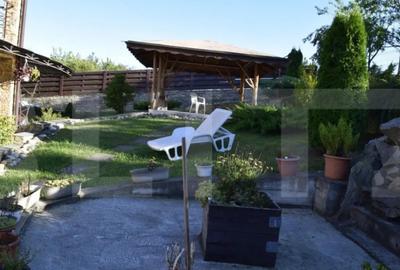 Casă cu 5 camere cu Teren 6700 Mp în Someșeni - 17