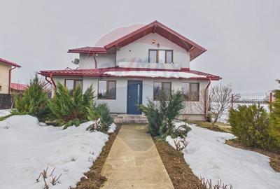 Apartament cu 3 camere decomandat, mobilat în Ulmi