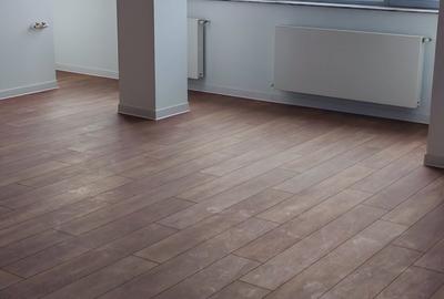 Apartament 4 camere Straulesti - 47