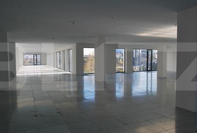 Open space, cladire clasa A - 2