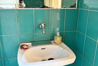 Spatiu comercial Bucurestii Noi 67mp - 5